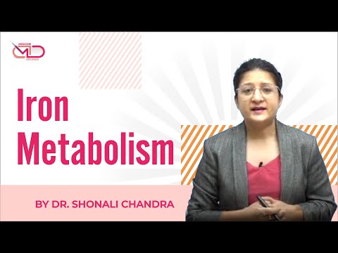 Iron Metabolism || Back to Basics || Dr. Shonali Chandra