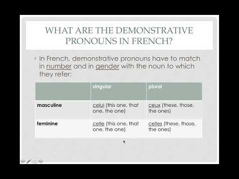 Demonstrative Pronouns (French)
