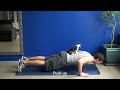 Video 'How to exercise with your cats!'