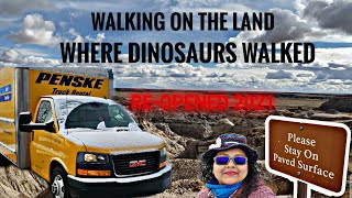 THE PETRIFIED FOREST NATIONAL PARK IS WELL WORTH A DETOUR FROM I-40 | Penske Road Trip