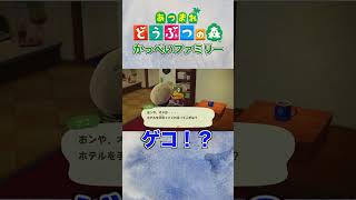 【つけゆうの #shorts 動画！】あつまれどうぶつの森 で変な名前