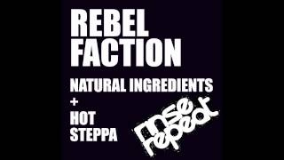 Rebel Faction - Natural Ingredients [RINSE002] - Release 13th February 2013 - FUTURE JUNGLE