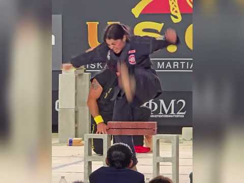 World Championship Martial Arts Breaking Tournament Performance #karate #martialarts #taekwondo 