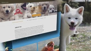 Beware buying pets online, ripoffs on the rise