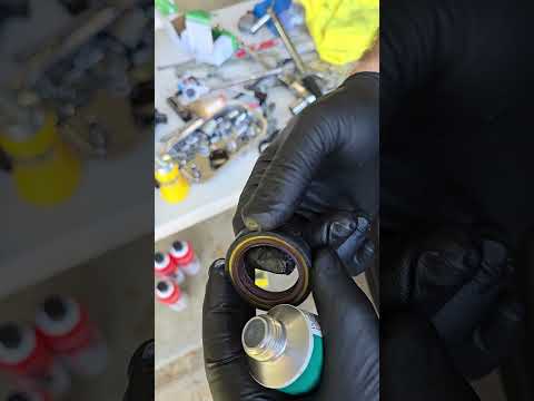 prepping camshaft seals for installation. use molykote 111