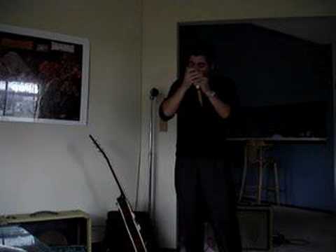 Amplified Blues Harmonica