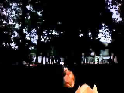 Festivalul luminii Oradea 2011 - 1 / 7