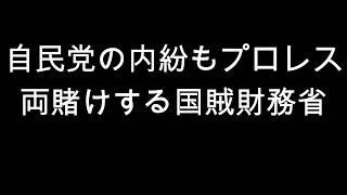財務省はどちらが勝っても困らない　自民党「消費税対立」の正体