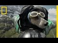 DEAN POTTER BASE Jumps With His Dog - YouTube
