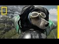 Dean Potter BASE Jumps With His Dog 