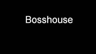 Bosshouse - Do you want to Party with me