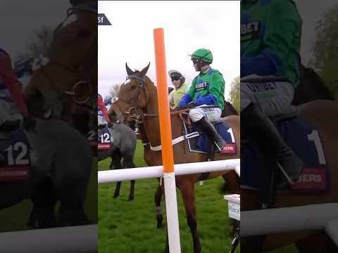 Declan Queally: “horrific” abuse from Nico de Boinville in Turners