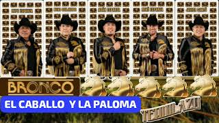 Bronco-El Caballo Y La Paloma Ft Eduardo Esparza Tour 45(Lyric Video)2024