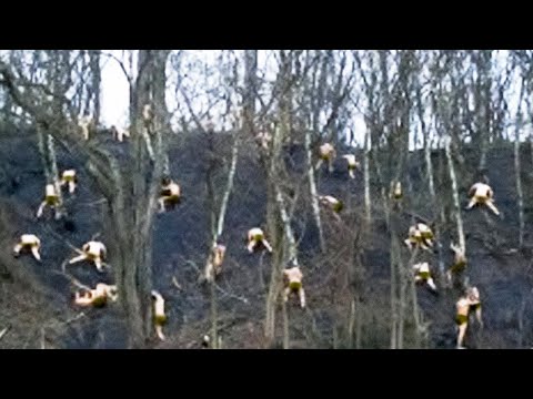 What Cartels Are Doing to the U.S. Forests Has Shocked the World