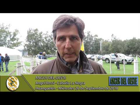 26-09-18 Nota Angel Rossi - Cab La Negra - Angus del Oeste - Huanguelen
