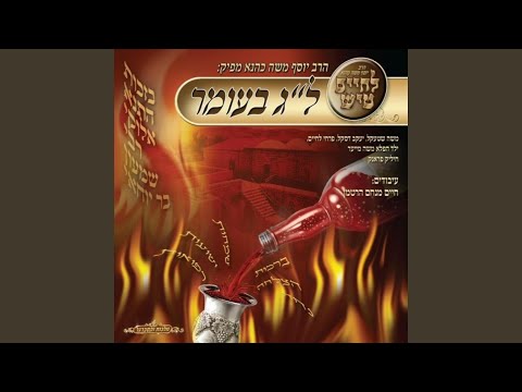 Mi Shema'amin, Y. Schwartz