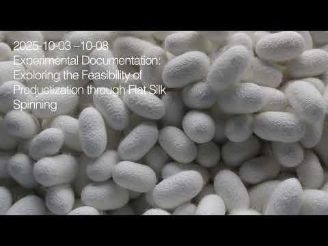 養蚕農家での実践を通じた平面吐糸の感性的価値の探究-thumb-1