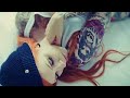 Akam-Папа(official audio) Akam-Папа(official audio)
