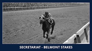 Download lagu Secretariat - Belmont Stakes 1973 mp3 Download lagu Secretariat - Belmont Stakes 1973 mp3