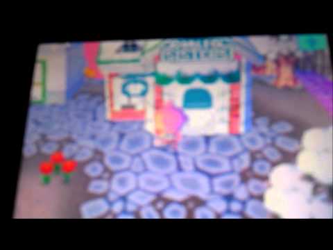 Animal Crossing Wild World Town Tour