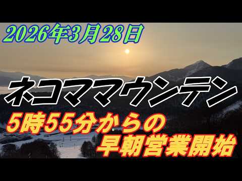 Video: 2026年3月28日　ネコママウンテン　春シーズンの早朝営業開始　まだまだコンディション良好！！
