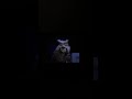 Sesame Street Episode 2571 Ending