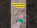 Song Sorts Newsong Trending Rajasthani Rajasthani