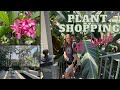 Plant Shopping St Louis Plant Nursery Tour Missouri Plant Shopping Plant Shop Tour