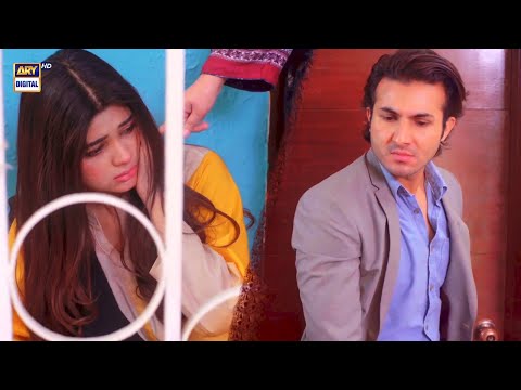 Bakwas Band karo apni Hafsa | Best Scene | #DileVeeran #ARYDigital