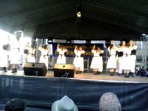 Ansamblul Liceului Teoretic Sebis-Dans din Tara Zarandului