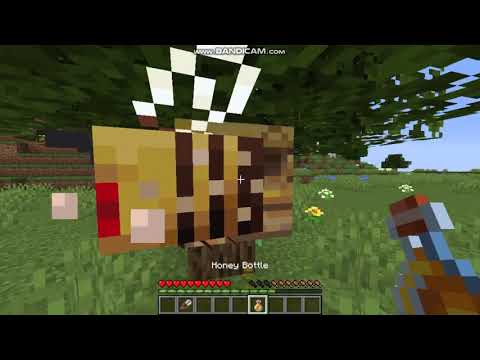 BeeEEeeEEeeEEeeEES?!?!🐝(Snapshot 19w34a)