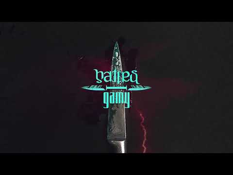 Gamy - Haters - Elegantshit