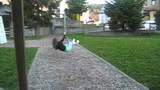 Too young to grow old (by Thomas Godoj)