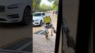 Dog Like Delivery Robots