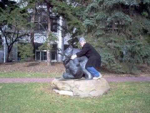 Quest for the Calgary Donair