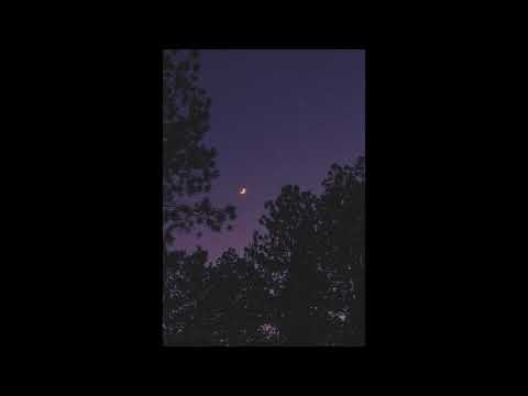 kuziema - 𝟏 𝒘 𝒏𝒐𝒄𝒚 (prod. Rajaste)