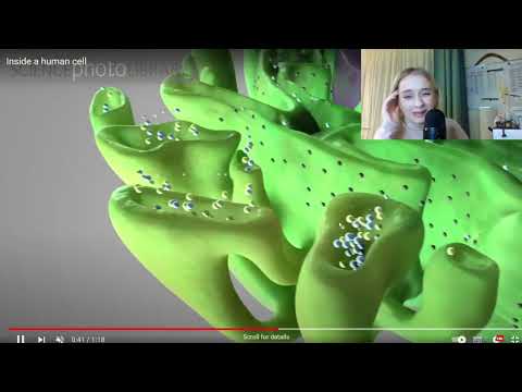 Admitere Fundeni: Celula