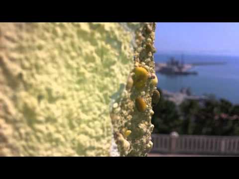 remix power frangers pompo nelle casse vs dr funkenstein by mkallister