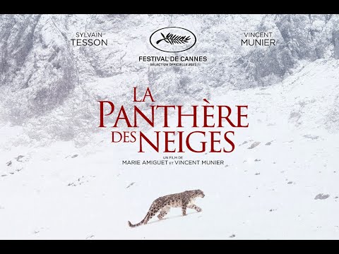 La Panthère des neiges