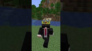 I Defeated The Owner of This Minecraft SMP!