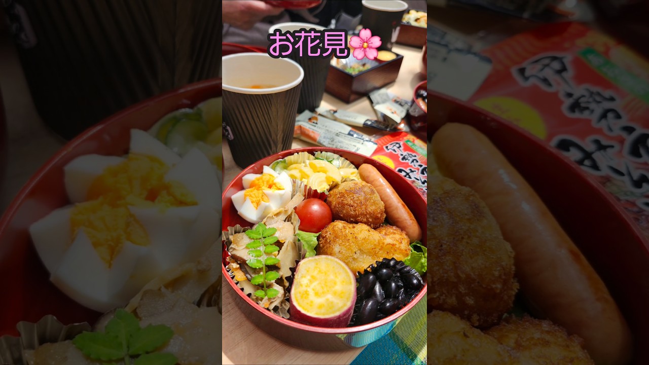 【お花見🌸】#桜 #お弁当 #bento #花見弁当 #春 #美味しい #楽しい #はくちゃん #shorts