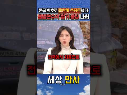 울산이 전국최초로 내란 현수막철거 시작을??