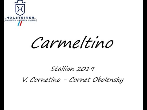 Carmeltino V. Cornetino - Cornet Obolensky