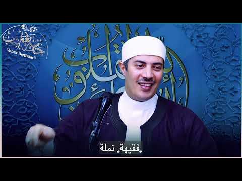 درس في السعادة تعلمناه من كلام النملة مع سيدنا سليمان