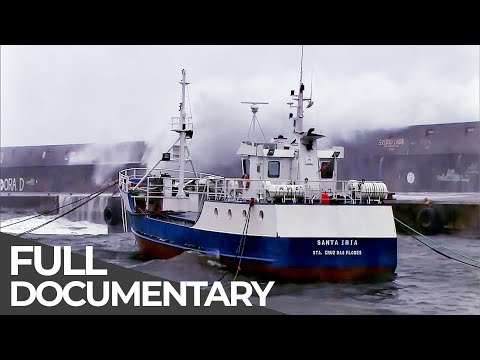 Somewhere on Earth: The Azores