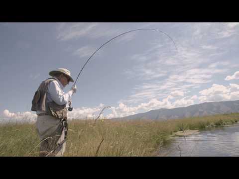 ORVIS PRESENTS: 90 and Counting