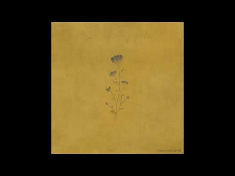 Joel Ansett - Pure (Official Audio & Artwork)