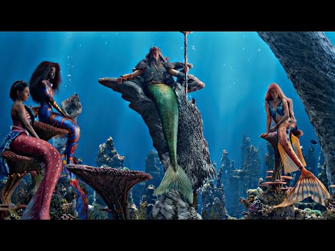 Daughter's of Triton | The Little Mermaid