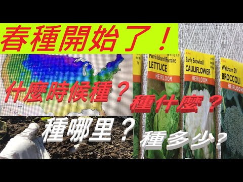 , title : '春種開始了！什麼時候種？種什麼？種哪里？種多少? -Spring Planting Begins! When to Plant? What to Plant? Where and How much?'