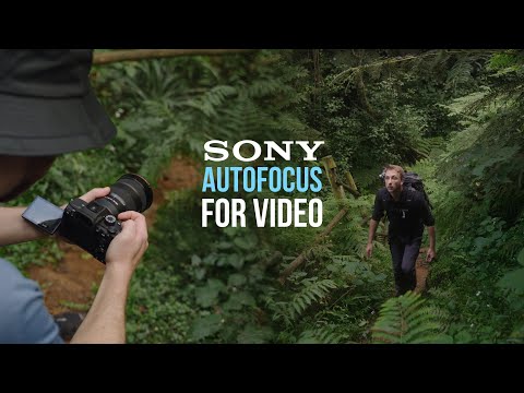 Best AUTOFOCUS Settings for Sony A7IV, A7sIII, FX3, A7III, FX30, A6600, A7c Camera - CINEMATIC VIDEO